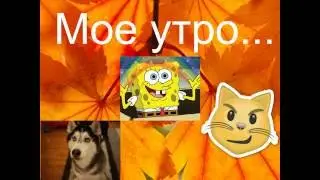 Мое утро