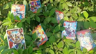 Mengumpulkan Mainan Kartu Ultraman Ginga 🤩