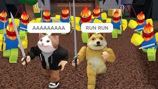 ROBLOX Build a Boat Funny Moments (Pop Cat Roblox and Doggy)