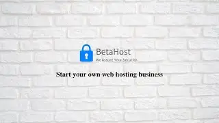 How to start a Web-Hosting business with BetaHost