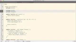 PHP29.0 Static Members and Methods