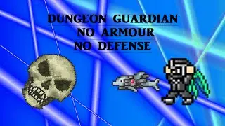 Terraria - DUNGEON GUARDIAN - NO ARMOUR 2 ACCESSORIES FULL BATTLE
