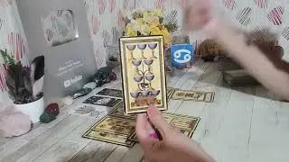 ♋️❤️Câncer//Xô migalhas! Eu quero é banquete!