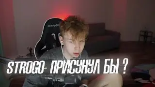 Дмитрий Ликс хотел бы присунуть Гаечке 😅 Strogo - присунул бы?  #твич нарезки