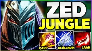 ZED ZED ZED ZED ZED ZED ZED ZED ZED ZED ZED ZED