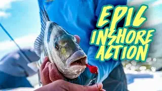 EPIC INSHORE ACTION in the Florida Keys with Capt. Randy Towe