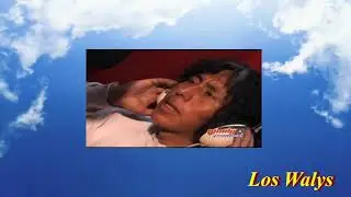 Los Walys CUMBIA Por mi cariño vas a llorar