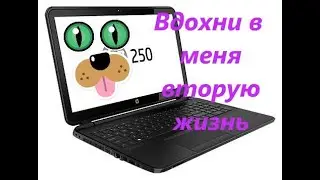Апгрейд старенького  Ноутбука  HP 250 G2 бюджетный вариант