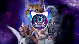 NITOVEIRA - GROOVY BASS (Original Mix) #HOUSEMUSIC