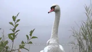Гёйгёль. Финал. Фрагмент фильма.