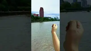 коротко о Франкфурт на Майне, 😉