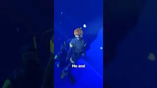 I Followed The Fish 🐟
