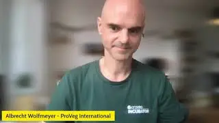 01 // DIGITAL CHAT  Proveg Incubator