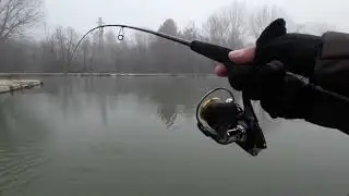 Prima Pescata a trote della stagione. Laghetto la leonessa
