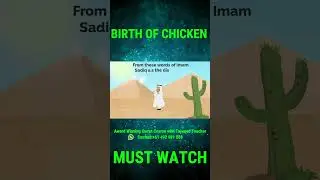 Birth Of Chicken | Allah's Creation | Islam Explained | Animated Video | YouTube Shorts | KAZSchool