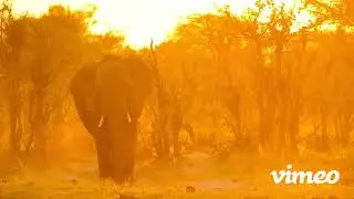 Kalahari Culture & Nature Safaris Botswana DMC