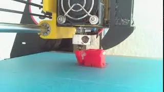 Calicat TPU - 3D Printing Timelapse