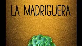 La Madriguera | De pronto naciste — Ep. 4