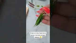 Скоро вы увидите мнооого растений в смоле, которые вы сможете приобрести для себя или в подарок.