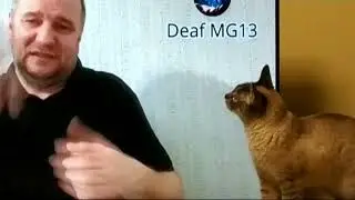 Я боюсь Гафуржана