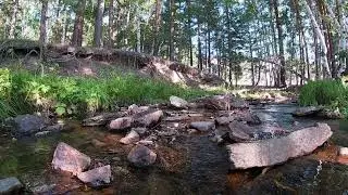 Лесные ручьи Каркаралинска!