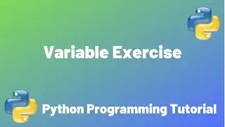 Variable Exercise | Python Programming for Beginners | 2020