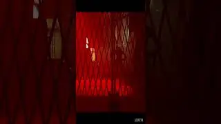 Robots are scared of the Cat - Stray
