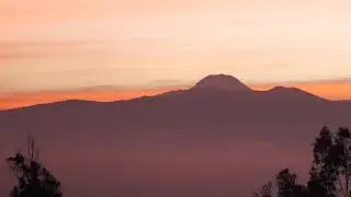 A Story Behind Every Flower by Colour Republic (60 Seconds)