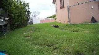 Mugen Buggy MBX5R Runing