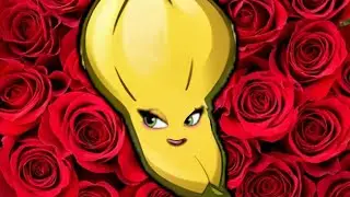 The Best Plant Deck 2023