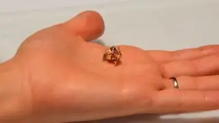 Miniature Origami Robot Self-folds, Walks, Swims, and Degrades