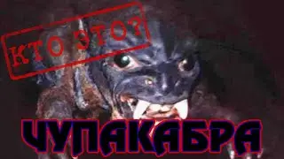 КТО ЭТО? ЧУПОКАБРА ИСТОРИЯ