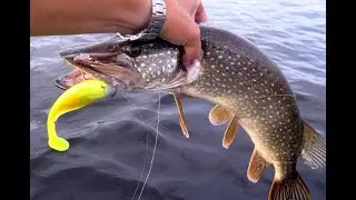 Сплав по речке. Ловля щучки, окунька.