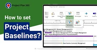 How to set Project Baselines? | Project Plan 365