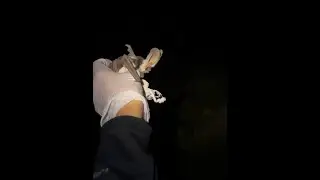 spotted bat call