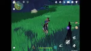 Mid Genshin coop