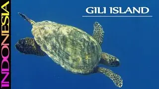 Gili island (part 2) full HD 1080p