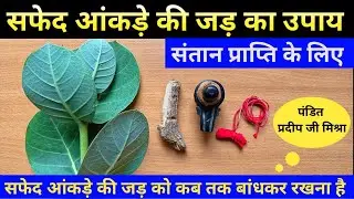 safed aankade ki jad kaisi hoti hai | सफेद आंकड़े की जड़ को कब तक बांधकर रखना है  @shivmahapuran2M