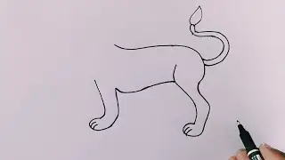 How To Draw Lion Easy | Lion Drawing Art With Pen