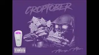 Money Man - Go Get The Money (Slowed)