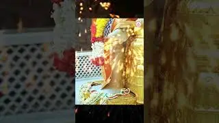 shirdisaibaba#saibabastatus #sai #saibabalovers