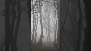Лайк, подписка, комментарий 😘