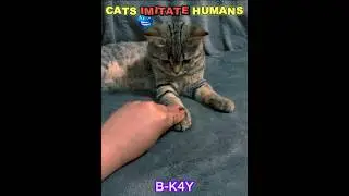 Copycat Mode Activated 💀🐈