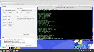 Install Discord on Linux Mint With No Issues (FIX libappindicator1, libgconf-2-4, and libc++1)