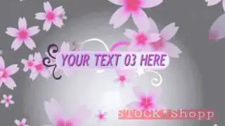 after effects template-Petals n Accents
