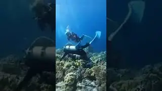¿CÓMO ES UN TERREMOTO BAJO EL AGUA?🌊 | #shorts