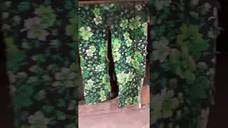 Яйца в курятнике 