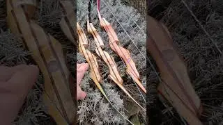 Большие разборные луки 🏹