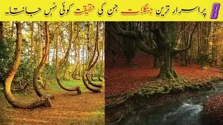 8 Most Mysterious & unusual Forest Discoveries In the World || Urdu Pixels || اردو/हिंदी ||