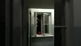 Пантерина Трамич - Ночное паломничество